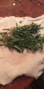 boquet garni: sage, rosemary and thyme